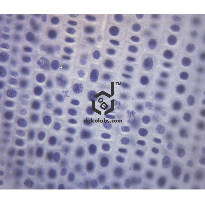 Divyansh_educational